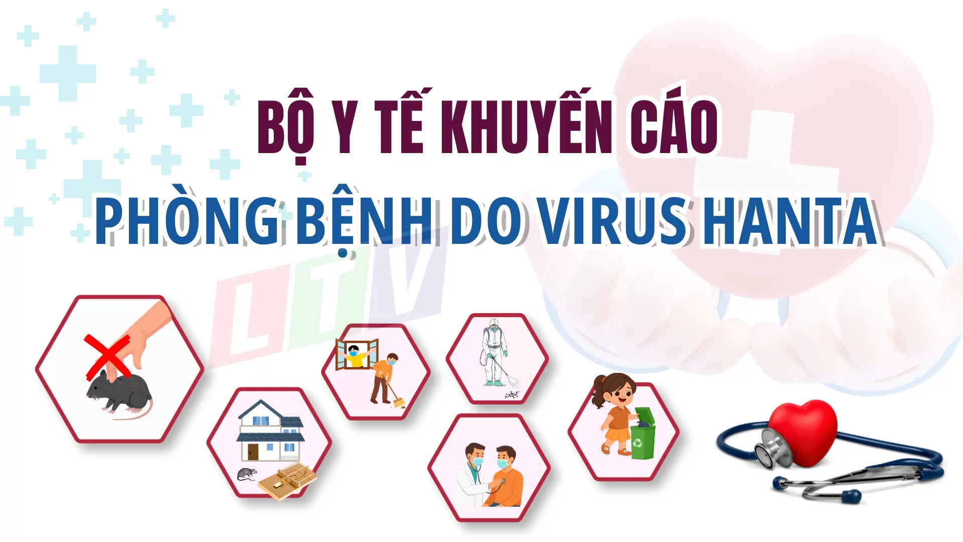 PHÒNG CHỐNG BỆNH DO VI RÚT HANTA