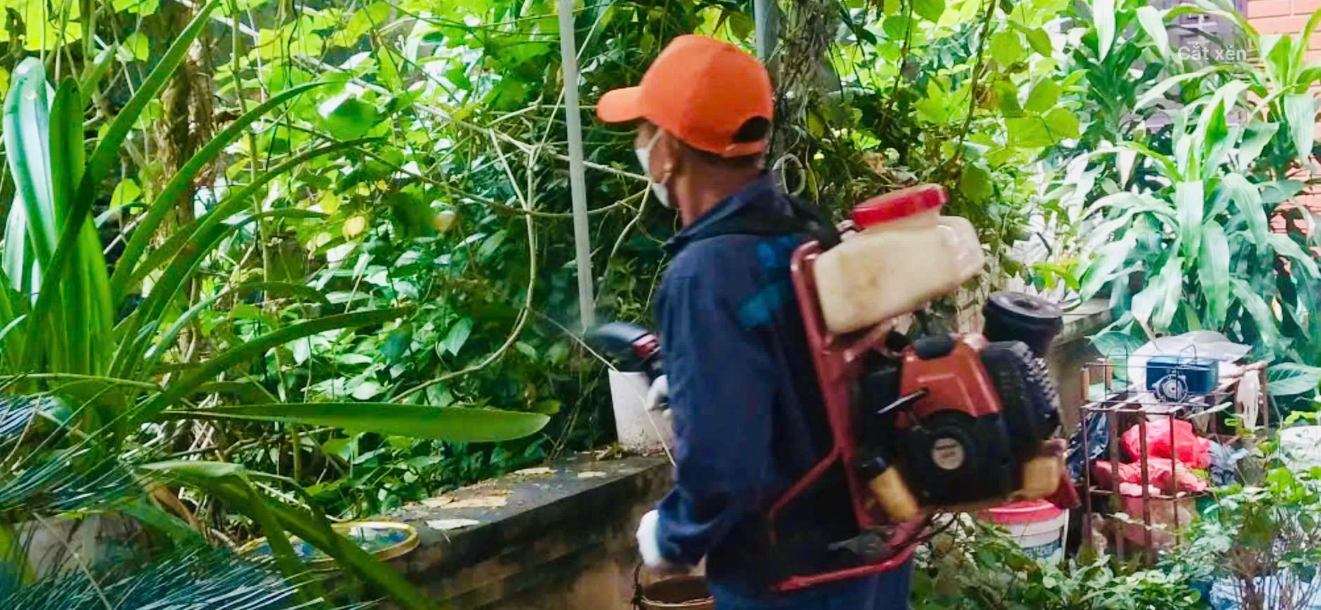 TRẠM Y TẾ XÃ Ô DIÊN TỔ CHỨC PHUN HÓA CHẤT XỬ LÝ Ổ DỊCH SỐT XUẤT HUYẾT TẠI CỤM 8 – TÂN HỘI