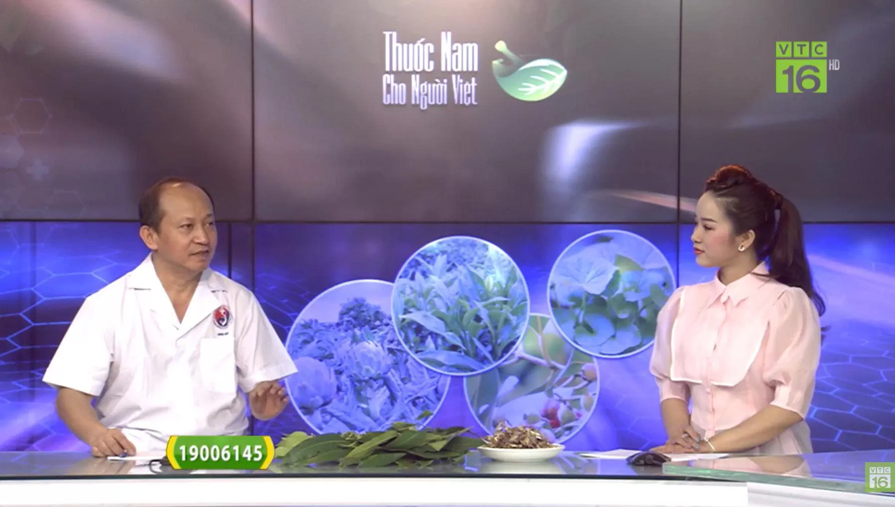 RAU MÁ, LÁ TRÀ XANH, HOA ATISO: CÔNG DỤNG TRONG ĐIỀU TRỊ BỆNH