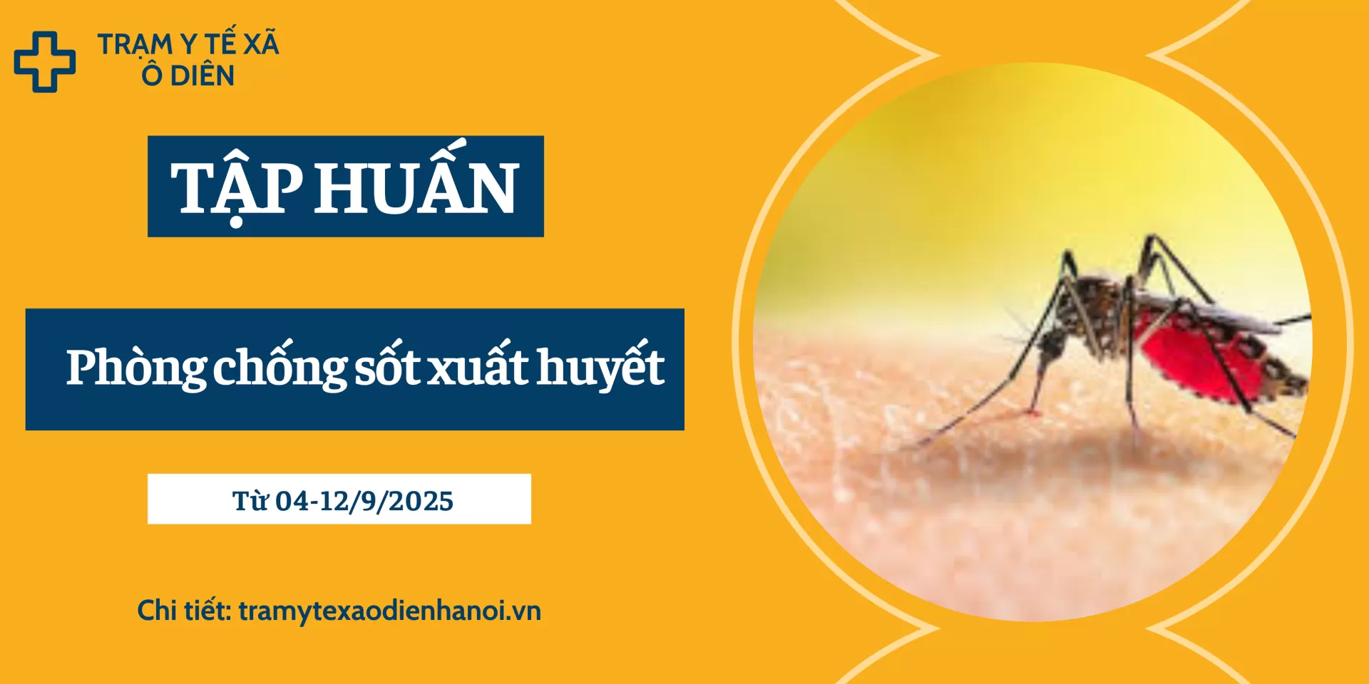 Ô Diên: Hơn 1000 thành viên đội xung kích tham gia tập huấn phòng, chống sốt xuất huyết