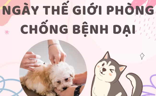 HÀ NỘI CHUNG TAY CÙNG ĐẨY LÙI BỆNH DẠI