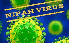 BỘ Y TẾ KHUYẾN CÁO 5 BIỆN PHÁP PHÒNG, CHỐNG DỊCH BỆNH DO VI RÚT NIPAH.