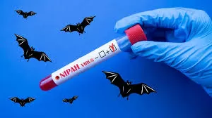 [Infographic] - 5 ĐIỀU CẦN LƯU Ý ĐỂ PHÒNG BỆNH DO VIRUS NIPAH