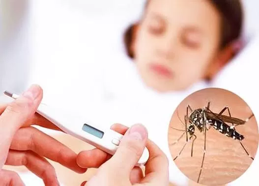 SỐT XUẤT HUYẾT: DẤU HIỆU NHẬN BIẾT SỚM VÀ CÁC BIỆN PHÁP PHÒNG BỆNH