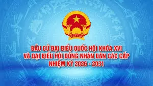 HƯỚNG DẪN QUY TRÌNH BỎ PHIẾU BẦU CỬ ĐẠI BIỂU QUỐC HỘI VÀ HĐND CÁC CẤP NHIỆM KỲ 2026-2031